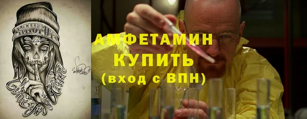 прущие грибы Абаза