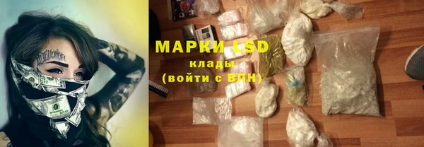 прущие грибы Абаза
