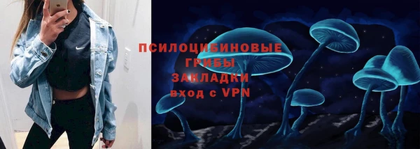 прущие грибы Абаза