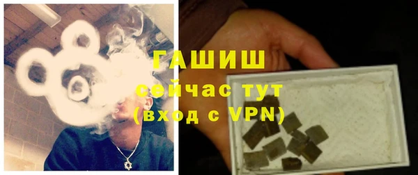 прущие грибы Абаза