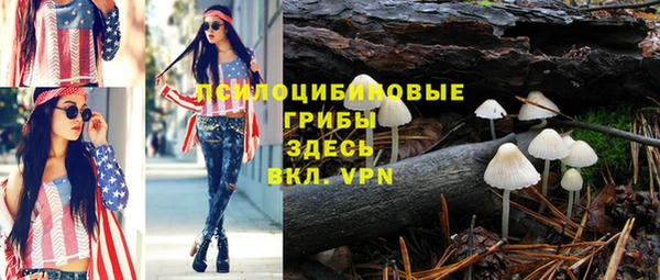 стафф Абдулино