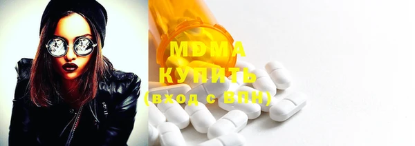 прущие грибы Абаза