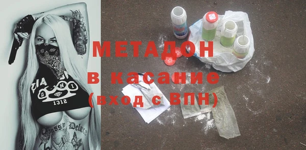 прущие грибы Абаза