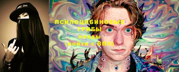 стаф Тында