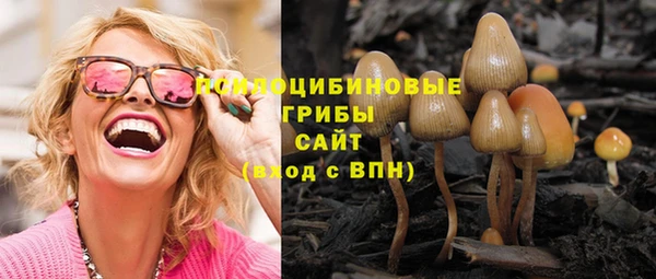 стафф Абдулино