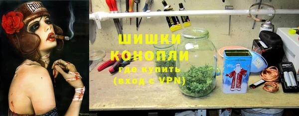прущие грибы Абаза
