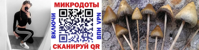 Псилоцибиновые грибы GOLDEN TEACHER  ссылка на мегу как войти  Усть-Кут  наркошоп 
